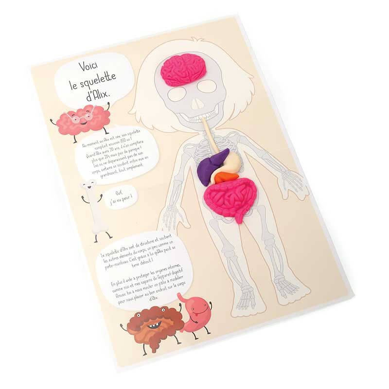 Coffret découverte du corps humain - kit de moulage éducatif