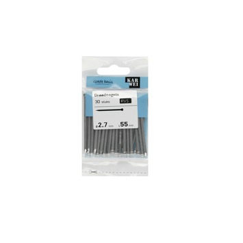 KARWEI spijker rvs 2,7x55 mm (30 stuks)