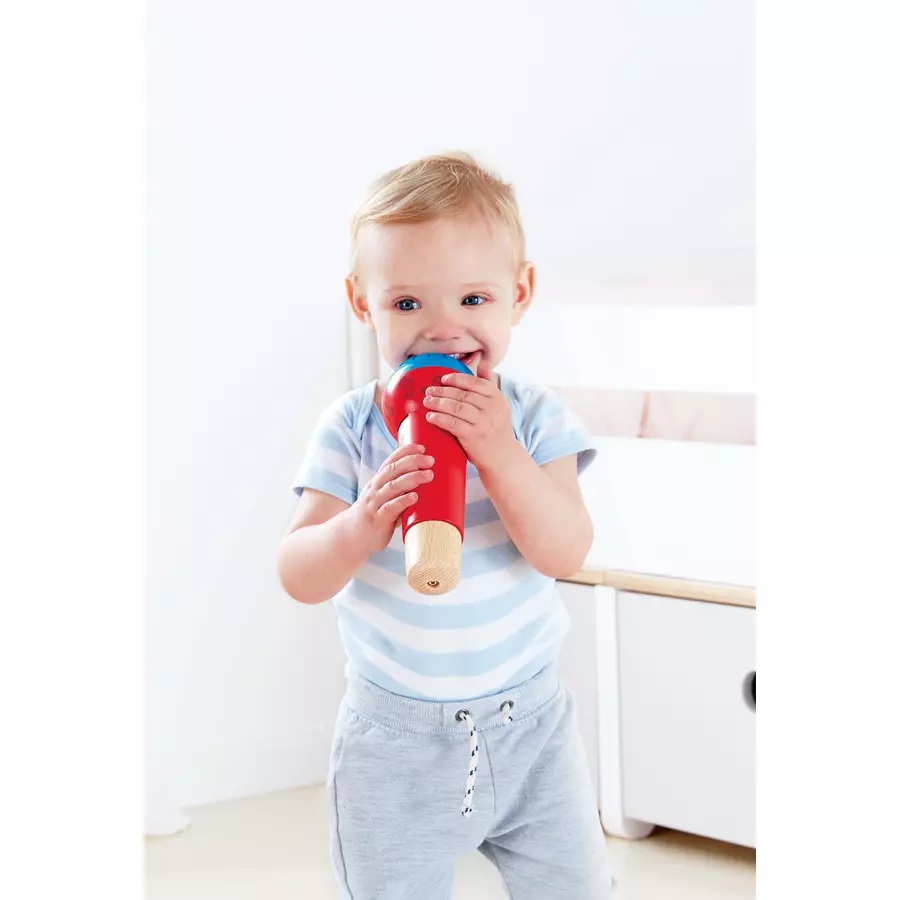 Hape Echo-Mikrofon