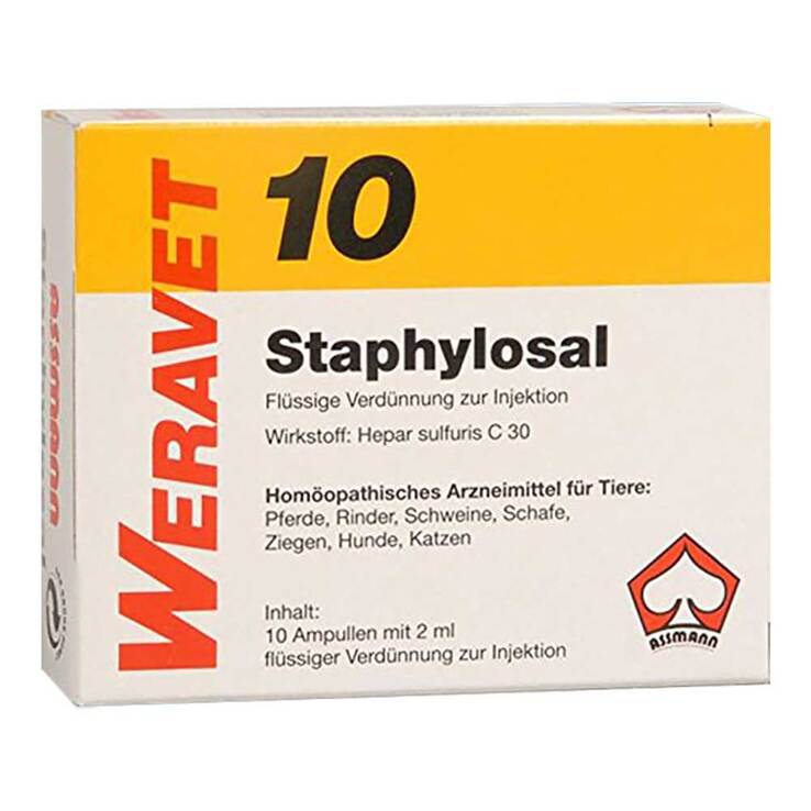 Staphylosal 10 vet. Ampullen, 10X2 ml
