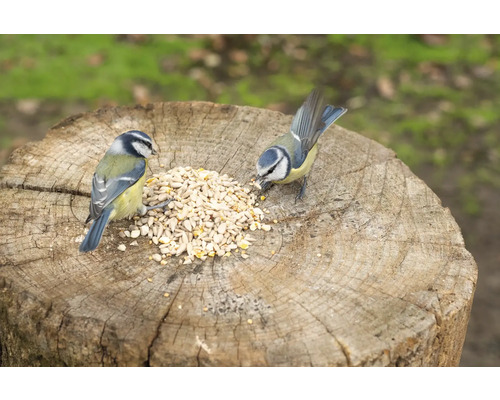 CJ Wildlife High-Energy Mix Vogelvoer voor het hele jaar
