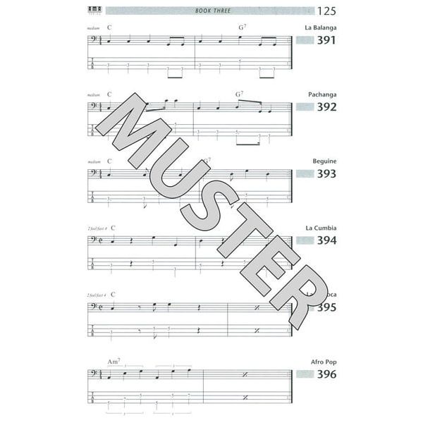 AMA Verlag Bass Bible E