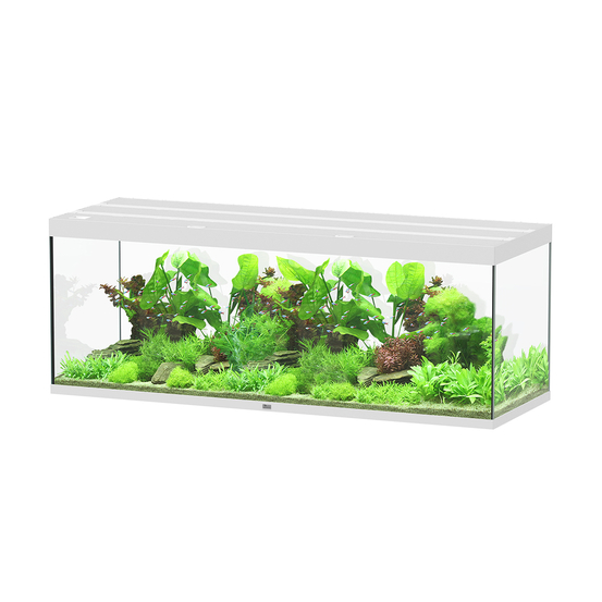 Aquarium Sublime Led 2.0 Pro Blanc L.200x P.70x H.75cm