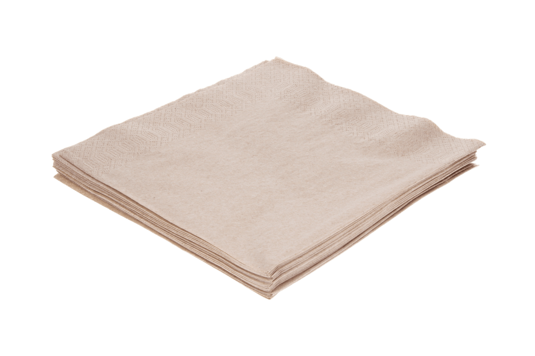 Servet 2 laags 1/4 vouw 40x40cm papier kraft BIO