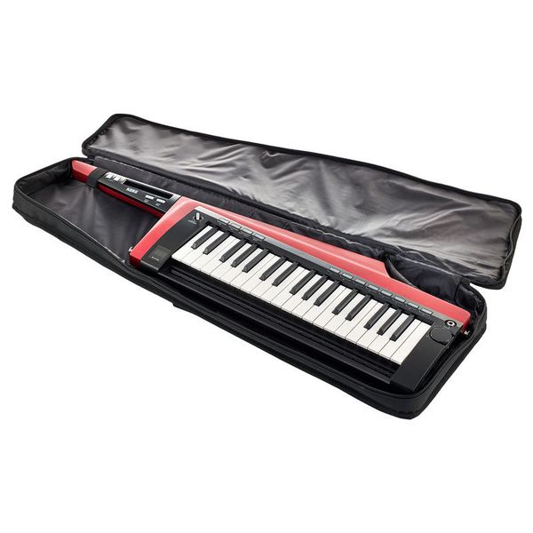 Korg RK-100S 2 Red