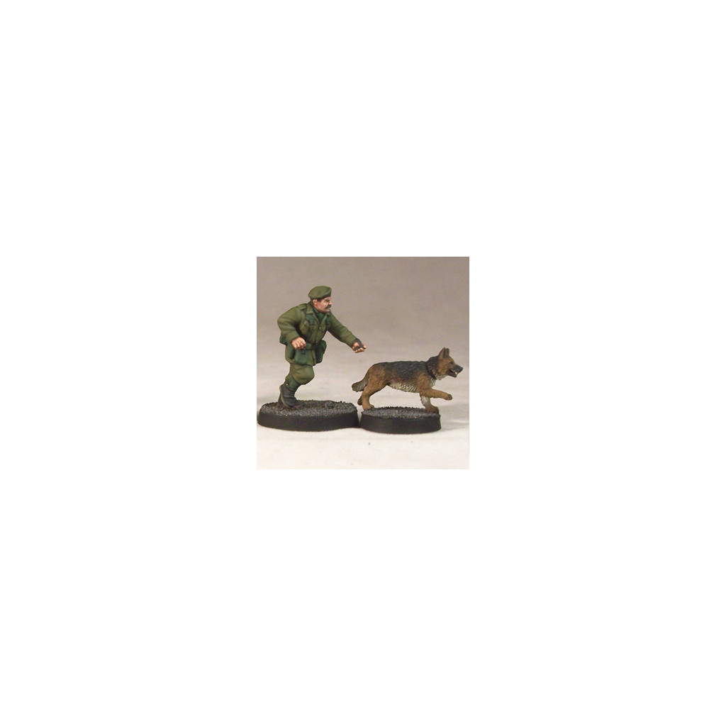 7TV - Army Dog Handler & Dogs