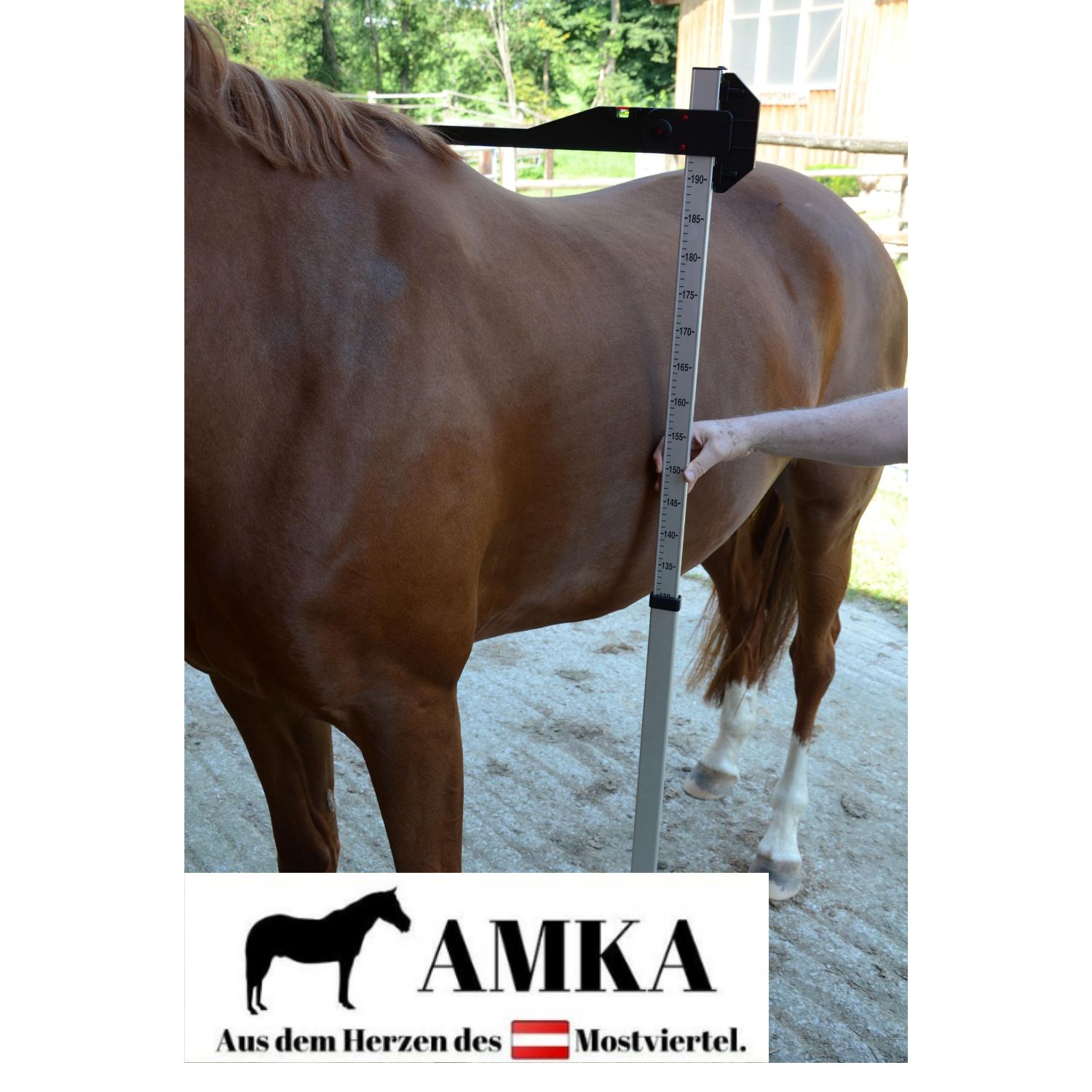 AMKA Pferde Messstock