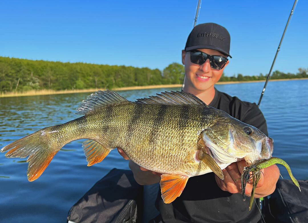 10.5g ChatterBait Mini Max (Z-Man)