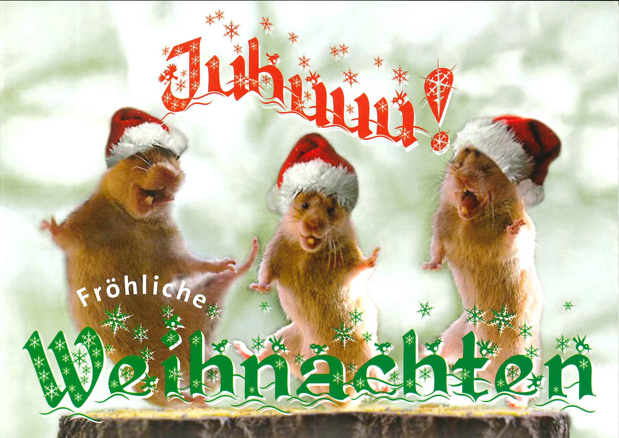 Postkarte 'Juhuuu' günstig bestellen