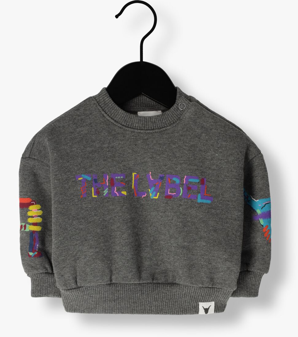 ALIX MINI grijze alix mini trui knitted multicolour sweater