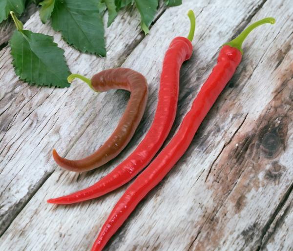Türkische Peperoni