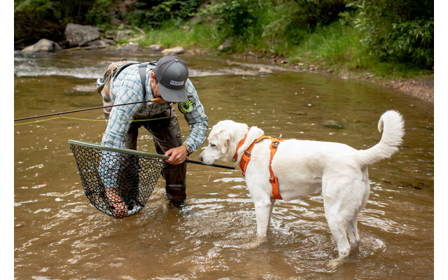 Ruffwear Front Range gepolstertes Hundegeschirr