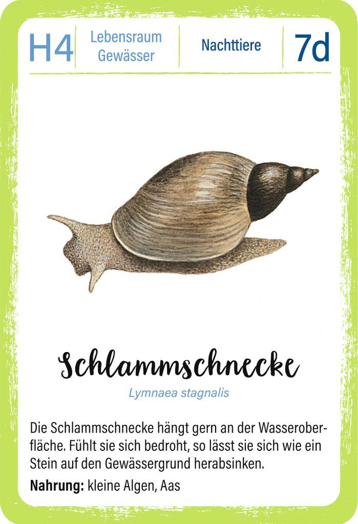 Qartett EXPEDITION NATUR - WALDTIERE
