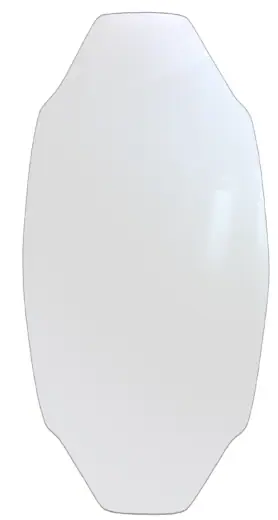 GoZone Pro Skimboard | SkatePro