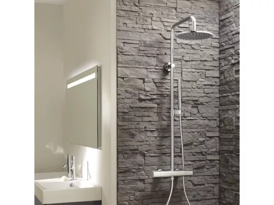 Colonne de douche thermostatique JACOB DELAFON Toobi + nettoyant Briochin