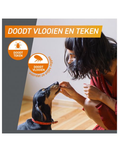 Frontpro Hond - Anti vlooien en tekenmiddel - >25-50 Kg Xlarge