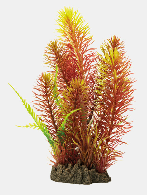 Superfish Art Plant 25cm Myriophyllum Red | Aquarium planten