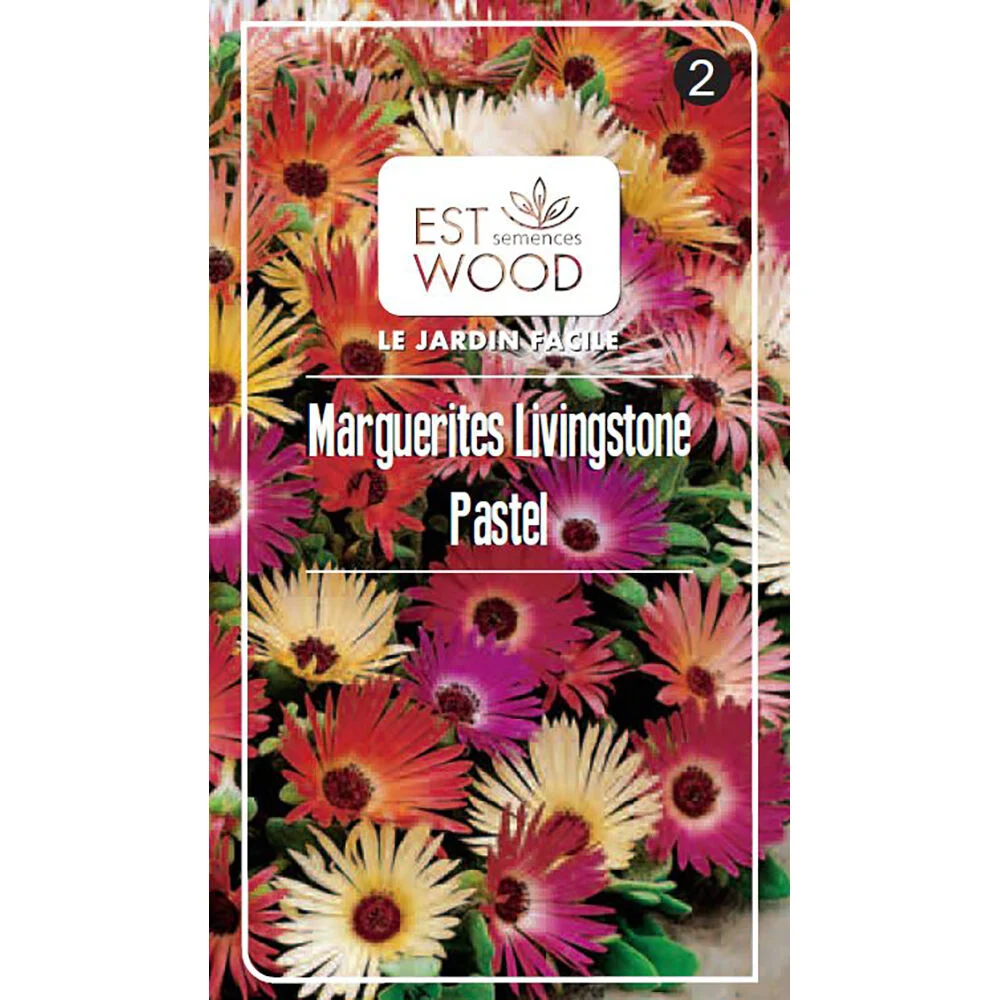 Semence Marguerite Livingstone mélange pastel 0,5g