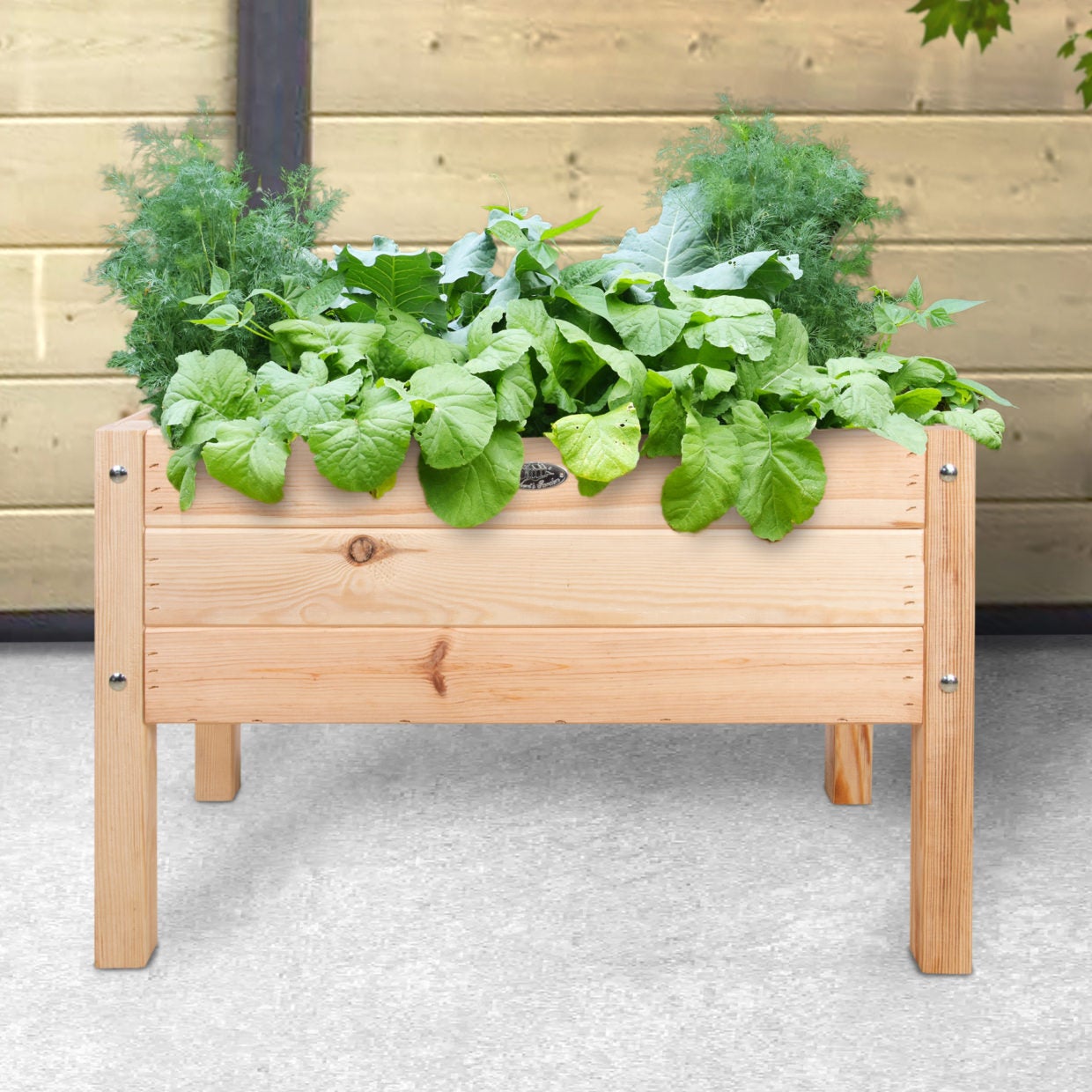 Esschert Design kweekbak verhoogd voor kinderen 78,8 x 40,6 x 50 cm