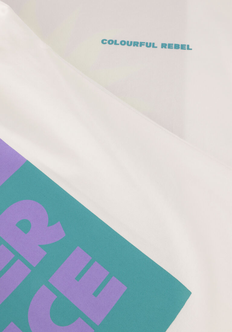 COLOURFUL REBEL witte colourful rebel t-shirt summer essence boxy tee