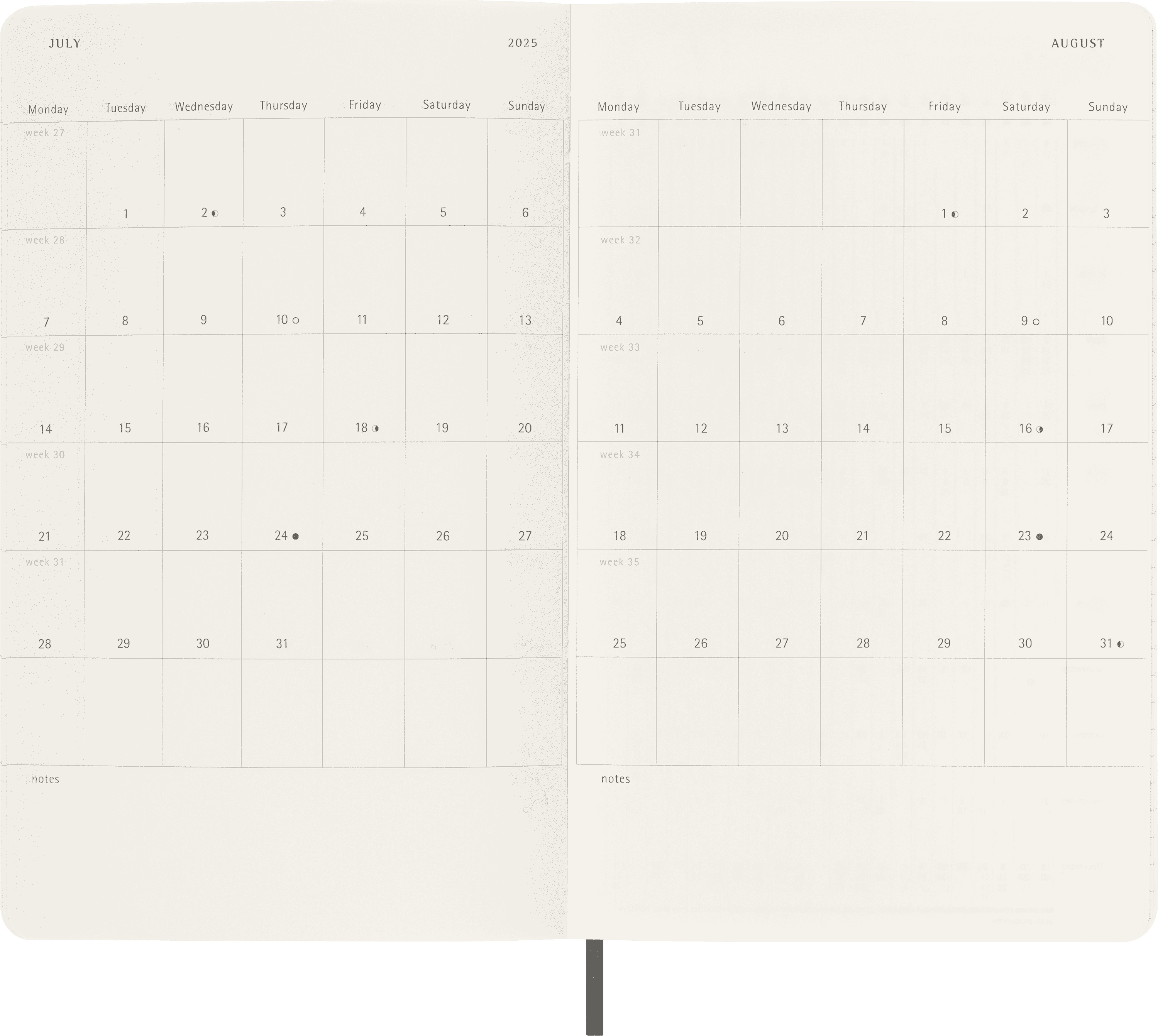 Classic Planner 2025 Large Daily, soft cover, 12 months