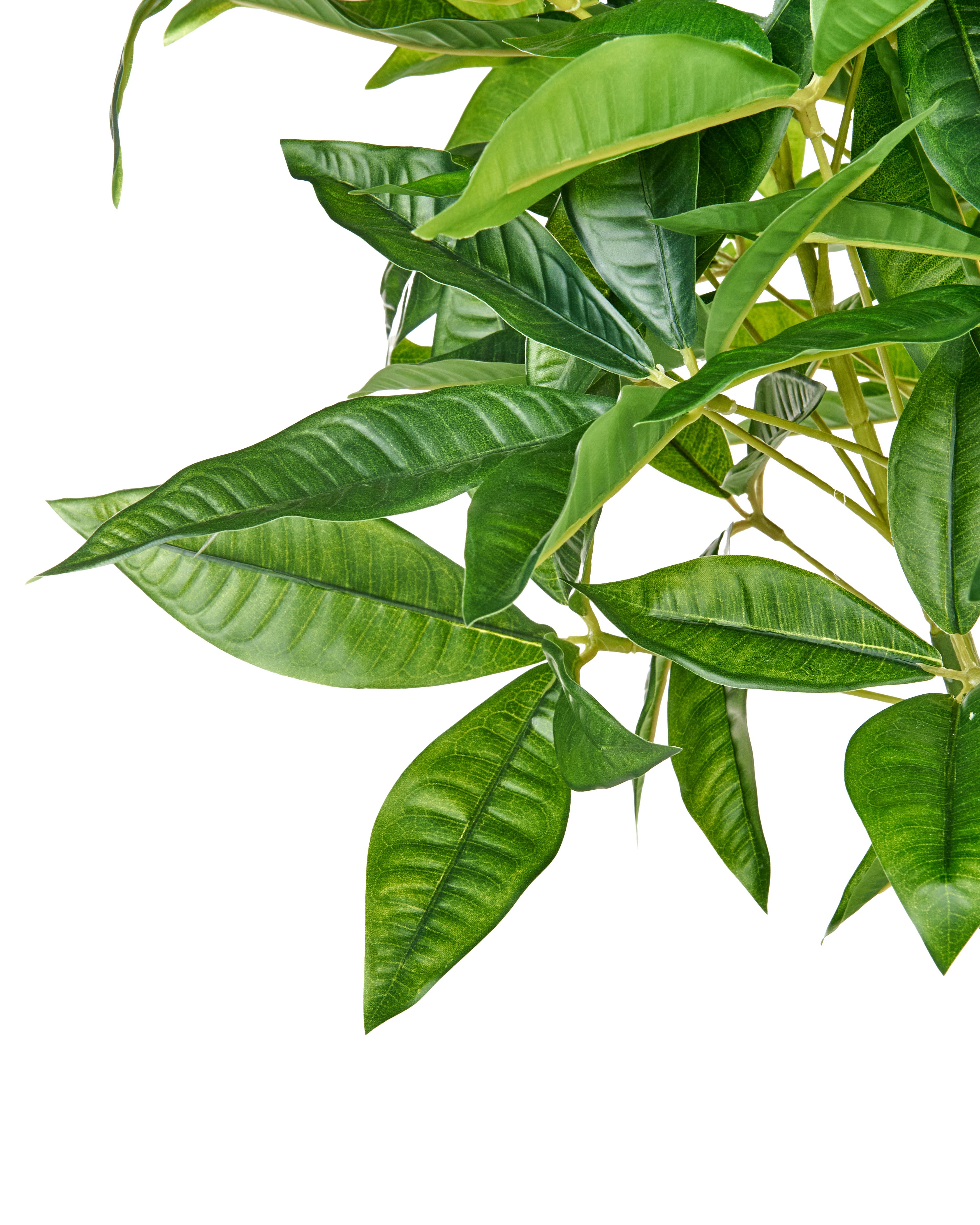 Kunstplant PACHIRA TREE 120 cm Groen