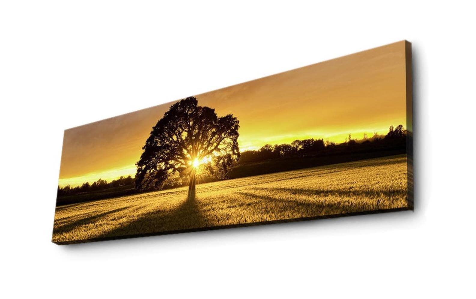 Bild Tree 30 x 90 cm, MDFLeinwandbild