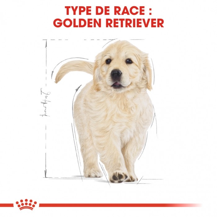 Royal Canin Golden Retriever Puppy - Croquettes pour chiot