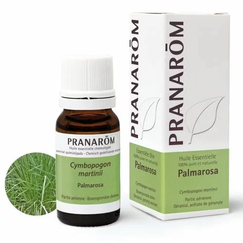 Palmarosa - 10 ml Partie aérienne