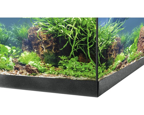 EHEIM aquastar 54 aquariumset met LED-verlichting, binnenfilter, verwarming, thermometer (zonder kast), zwart, ca. 54 L, 60 x 30 x 30 cm