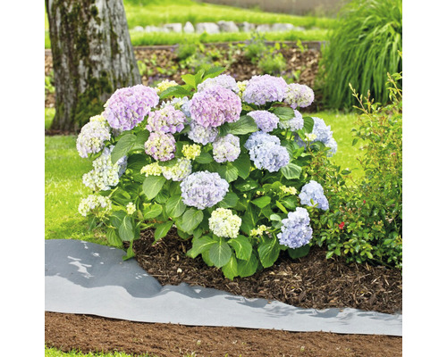 Onkruiddoek 90g/m² FloraSelf 1500 x 100 cm, antraciet