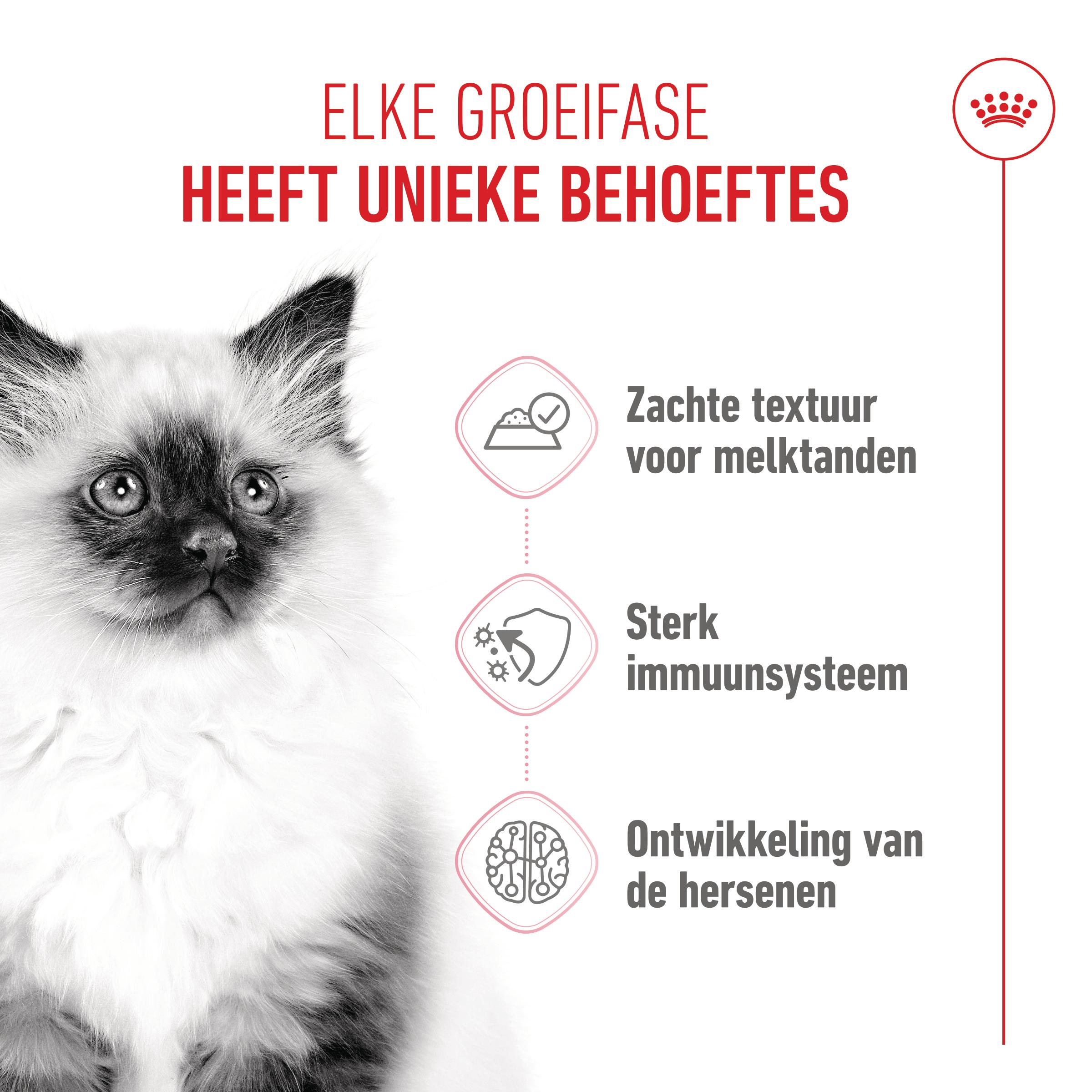 Royal Canin Kitten Loaf - Maaltijdzakje