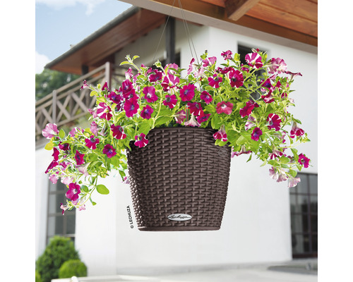 Lechuza Nido Cottage hangpot, kunststof, Ø 27 cm, H 23 cm, mokka, inclusief zelfbewateringssysteem en waterniveau-indicator