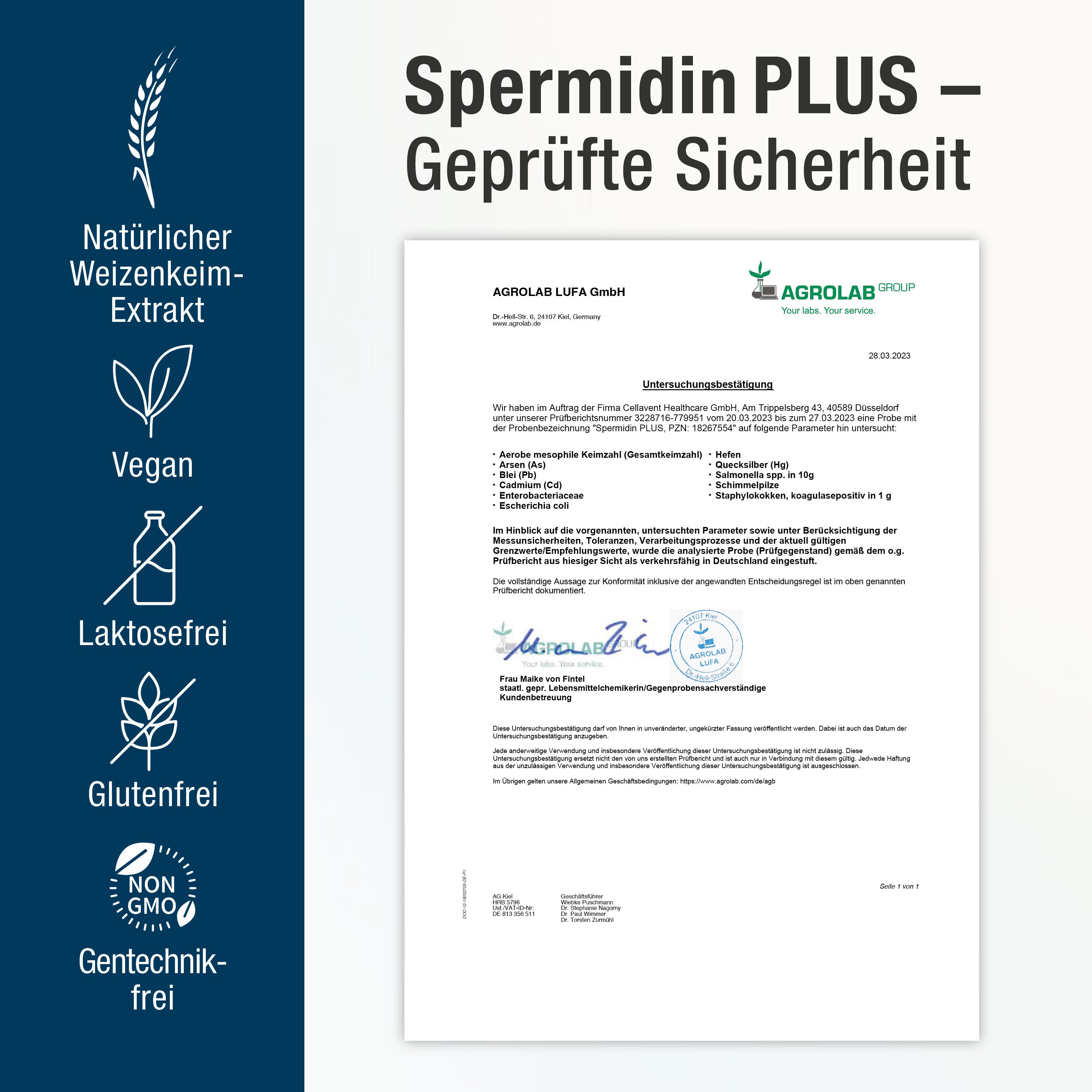 SPERMIDIN PLUS