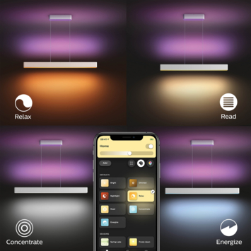 Philips Hue hanglamp Ensis wit - wit en gekleurd licht 79W