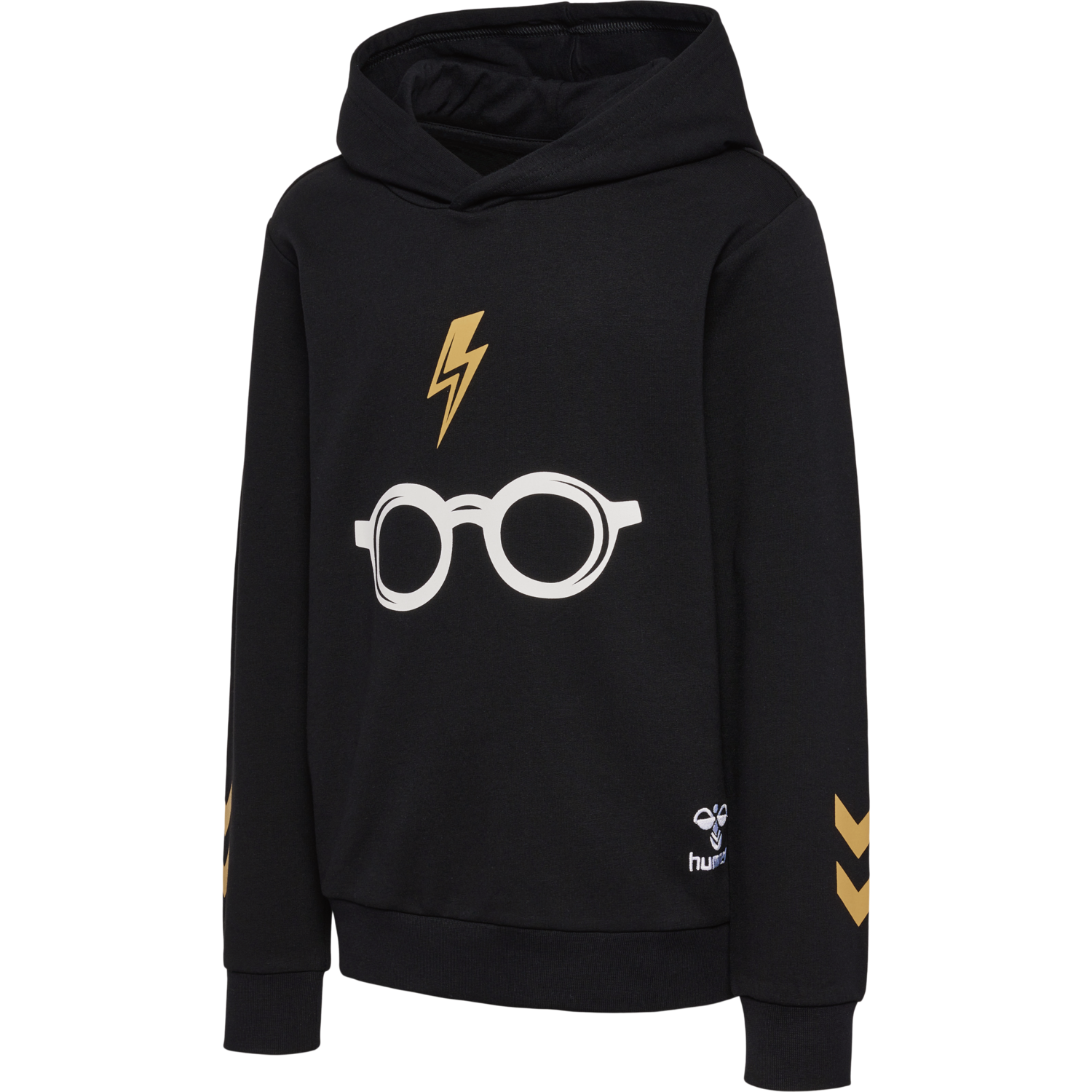 hmlHARRY POTTER HOODIE