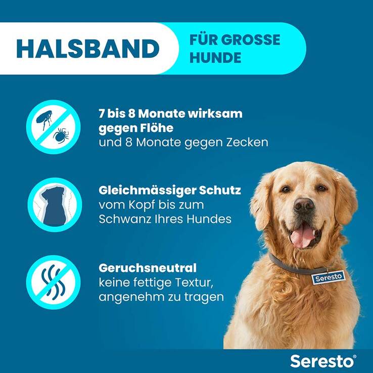 Seresto Halsband für große Hunde über 8 kg, 1 St