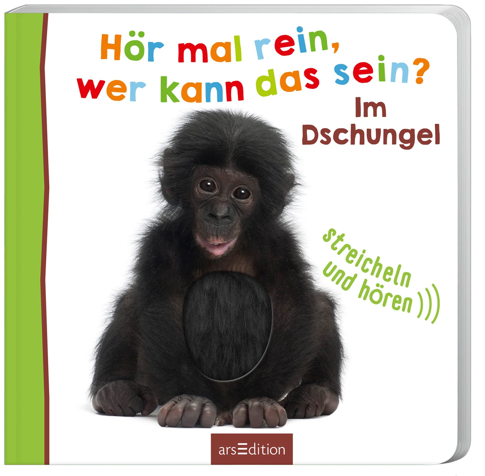 Hör mal rein, wer kann das sein? - Im Dschungel