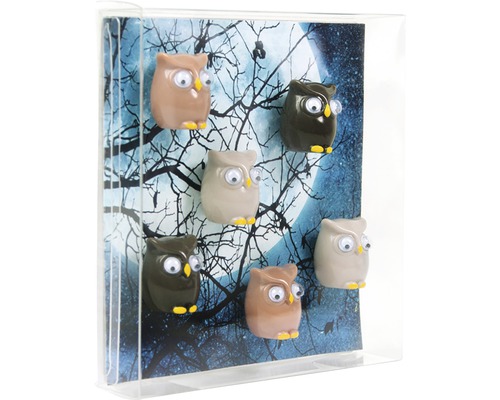 Decoratieve uilenmagneten, set van 6