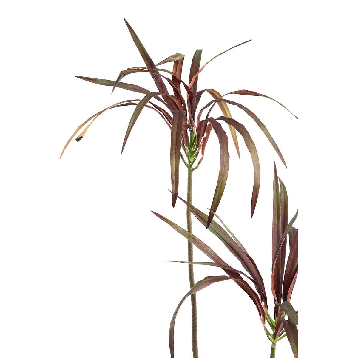 Ptmd plante artificielle leaves - 98x36x117 cm - plastique - bordeaux