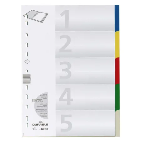 Durable 673027 Register mit farbigen Taben, 5-fach Teilung, farbiger Ablauf-Verlauf
