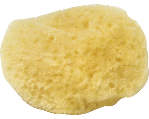 Natuursponsenset Fina, fijnporig, 5-delig