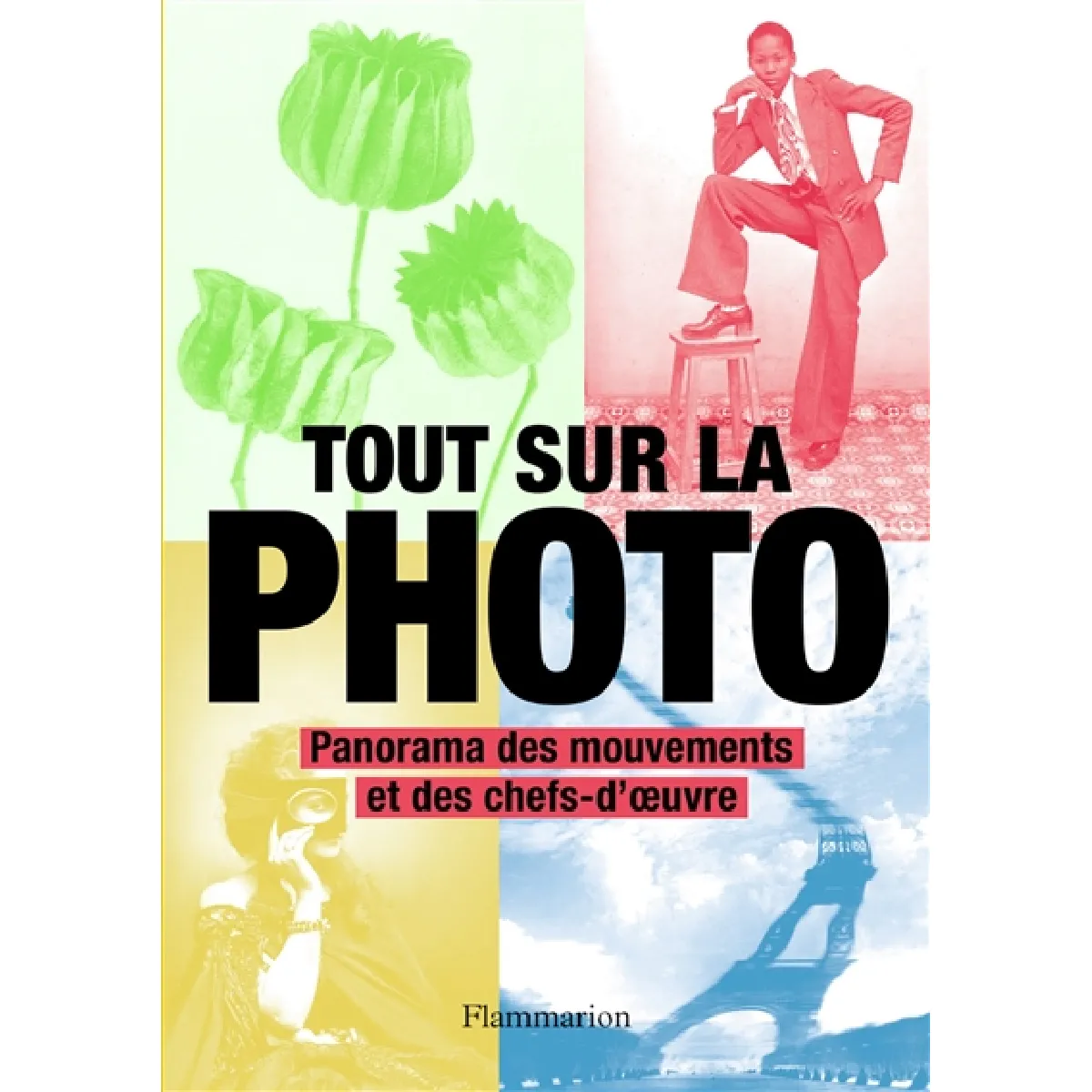 Tout sur la photo : panorama des chefs-d'oeuvre et des techniques · Occasion