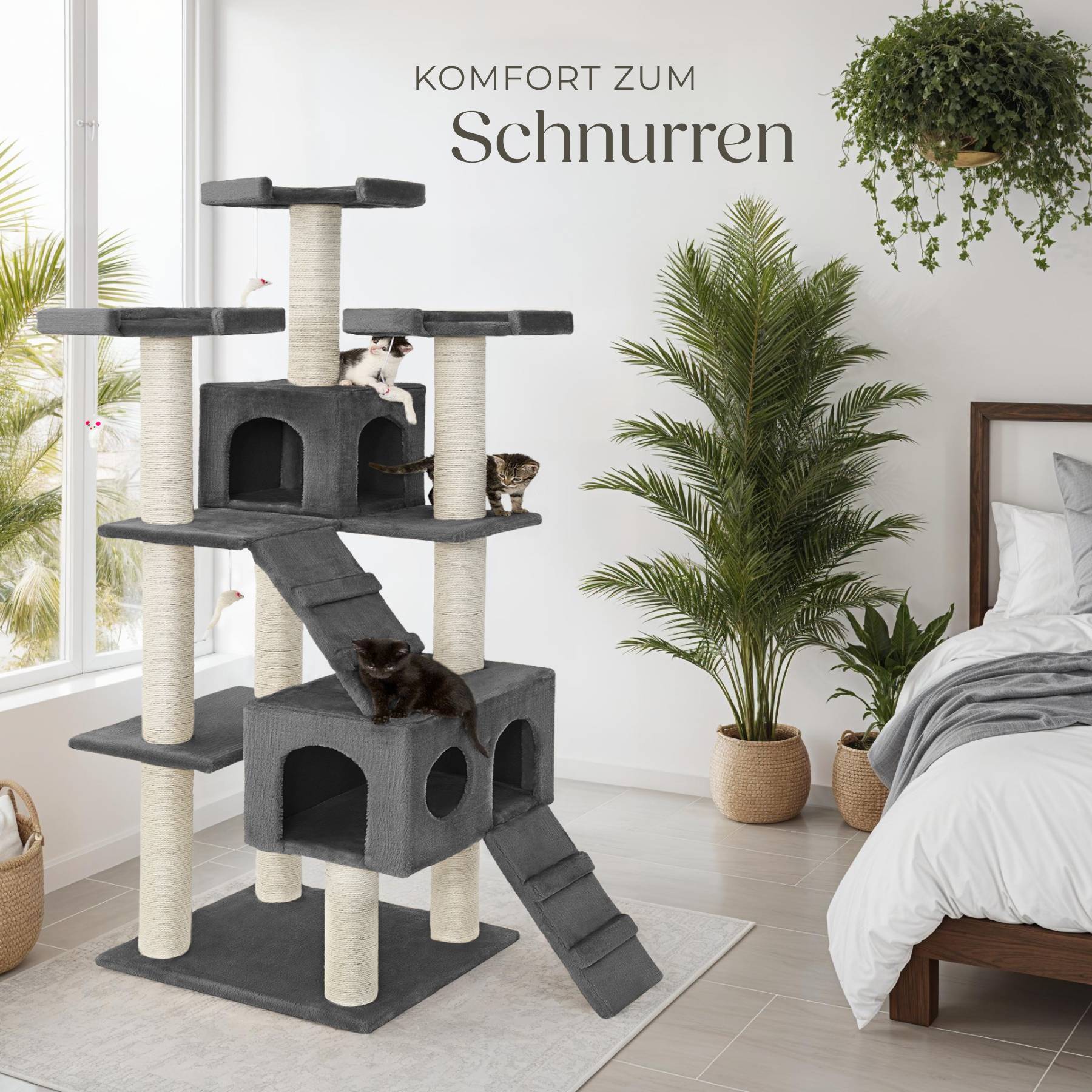 Kratzbaum Knuti