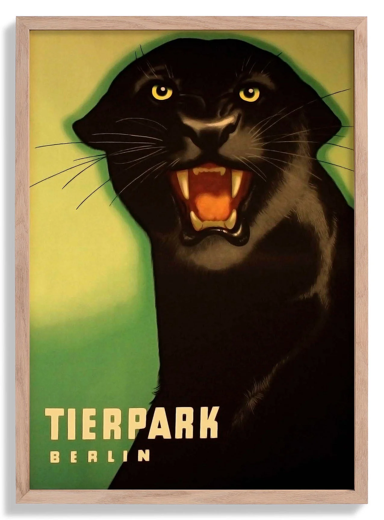 Zoo Tierpark Berlin Panther