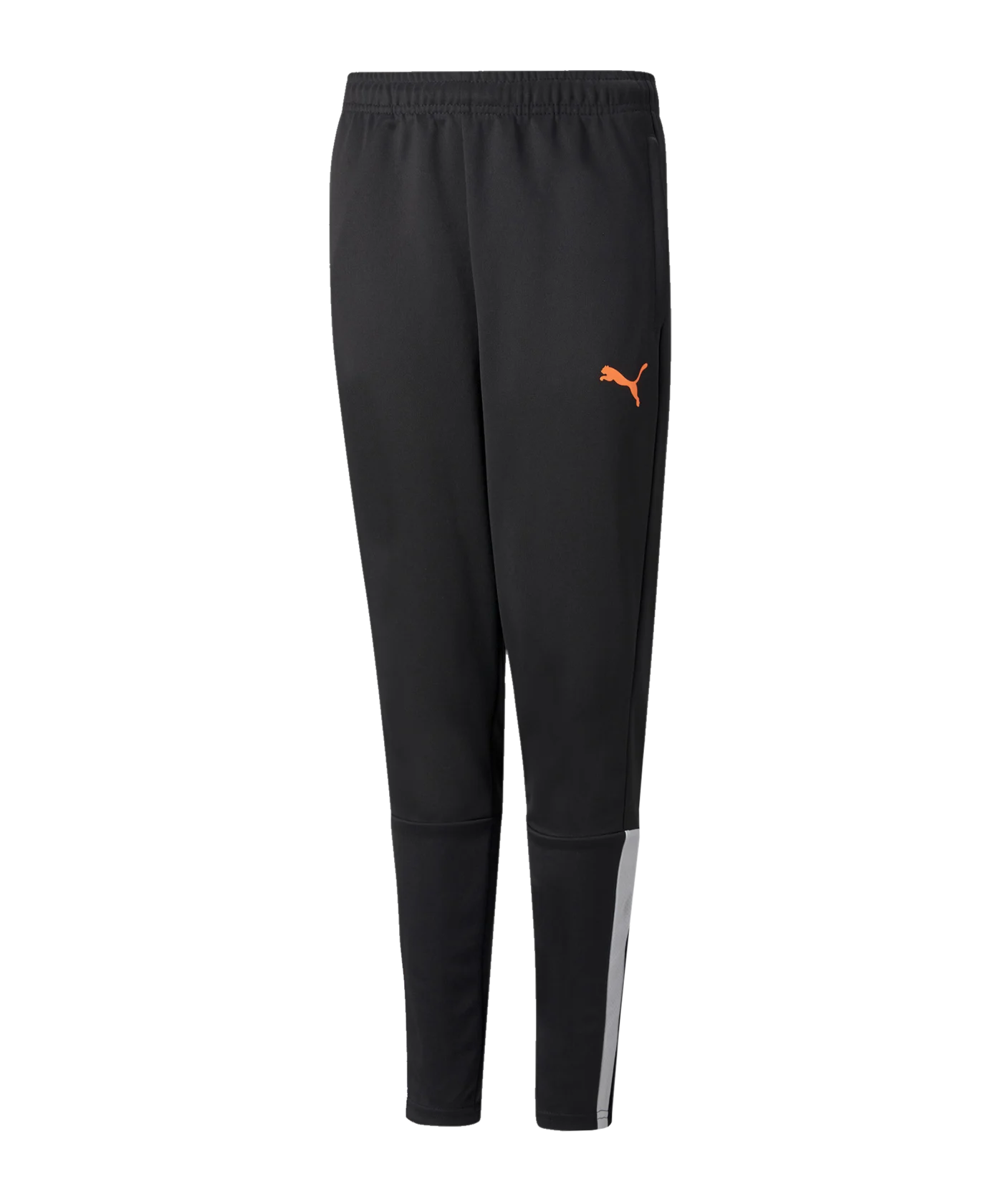 PUMA teamLIGA Trainingshose Schwarz F45