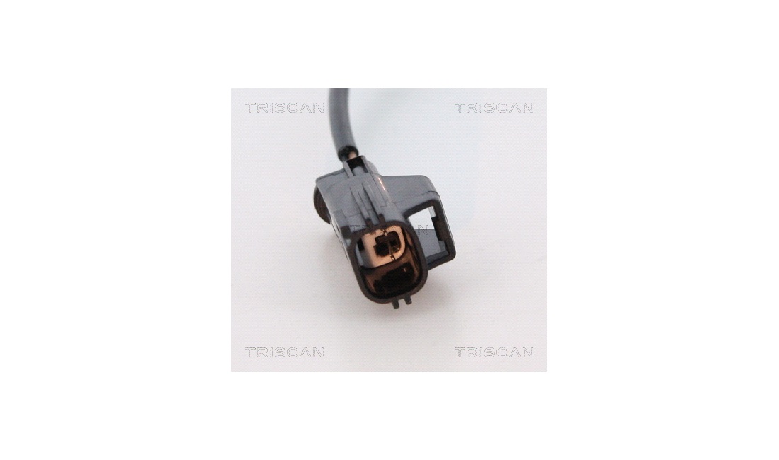 ABS sensor
