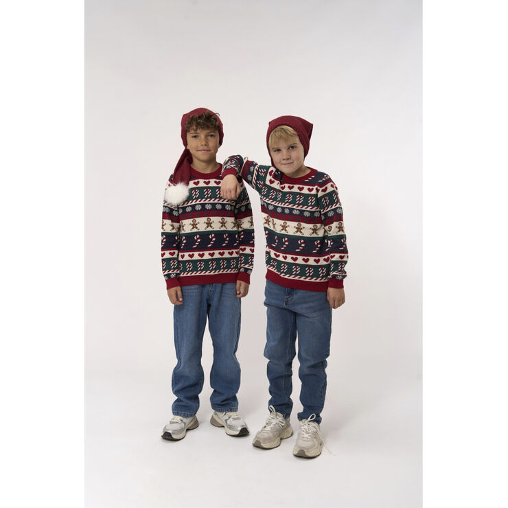 The New TNHoliday Jacquard Pullover Multi colour