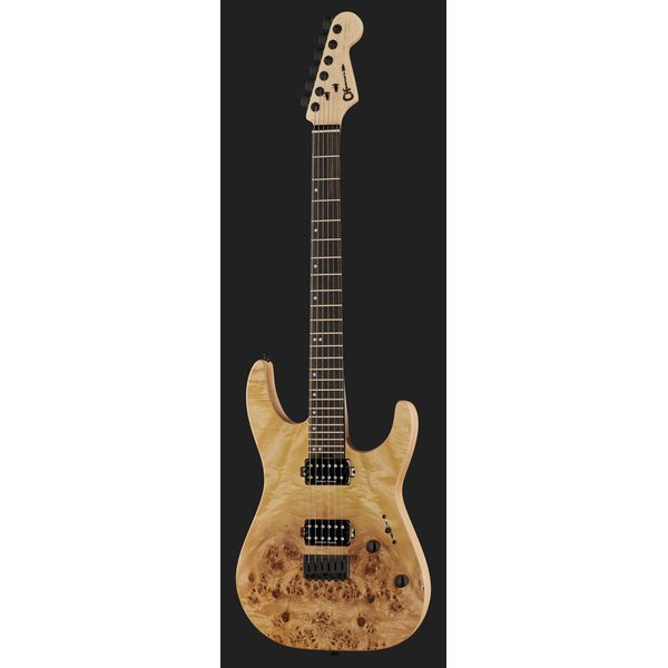 Charvel Pro-Mod DK24 HH HT E DS