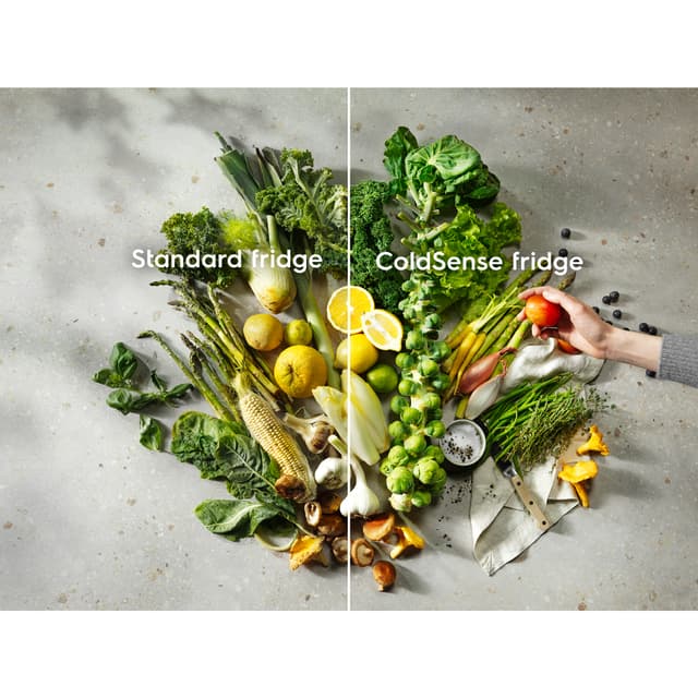 Electrolux 500-Serien kølefryseskab LTB1AE24W0 (hvid)